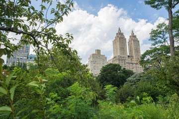 Fototapeta na wymiar Scenic view of skyscrapers from Central Park in New York