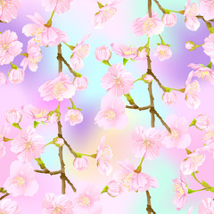 Seamless pattern, background with blooming cherry japanese sakura in soft rose pink colors. Stock vector illustration. In light ultra violet pastel colors on mesh pink, blue background.