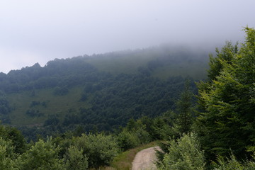 Summer Carpathian Mountains