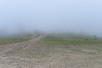 Summer Carpathian Mountains
