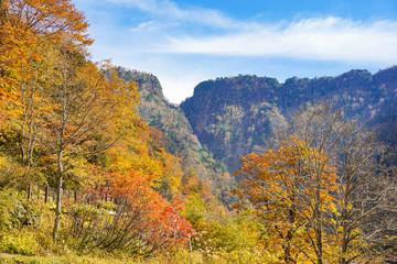  Japanese National Park, Autumn leaves around the national park in Tateyama, Toyama. 日本の国立公園　称名滝周辺の紅葉　富山県立山町
