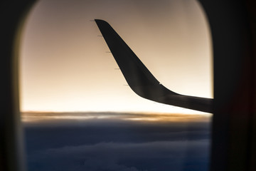 Looking out an airplane window