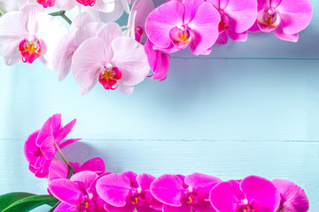 Frame for text made from orchid branches on a blue, wooden background. Orchid flowers. Copy space