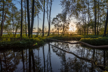 Fototapeta na wymiar Beautiful sunrise on the pond with reflection of sky near the lake