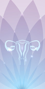 Beautiful female uterus and ovaries flower background, transparent delicate design