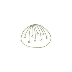 Vector hand drawn sea shell. Isolated individual object.