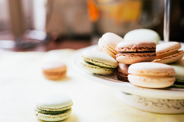 Homemade French Macaroons on the Plate, Pistachio, Coffee and Vanilla Macaroons, Beautiful Wallpaper