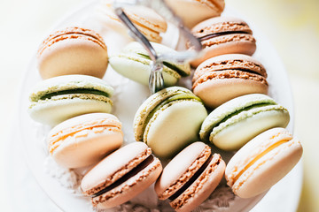 Homemade French Macaroons on the Plate, Pistachio, Coffee and Vanilla Macaroons, Beautiful Wallpaper