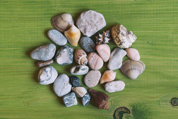 Image of seashells and stones on wooden table.