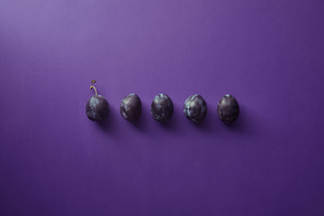 top view of row of plums on violet surface