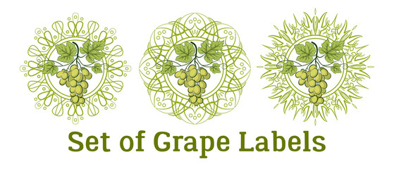 Set of Labels, Stickers with Green Grape Bunches, Berries and Leaves, on Abstract Round Patterns on White. Vector