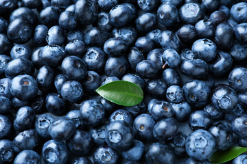 Many ripe blueberries on table
