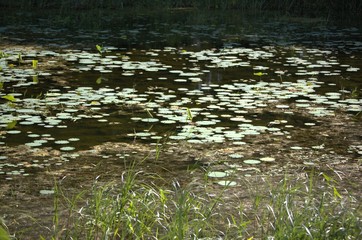 DeSota Wildlife Refuge