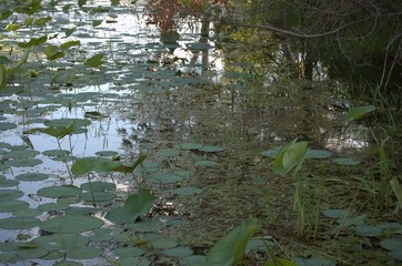 DeSota Wildlife Refuge