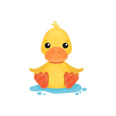 Cute little yellow duckling character sitting in a puddle vector Illustration on a white background
