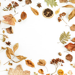 Fototapeta premium Frame of dry fall autumn leaves, petals and oranges on white background. Flat lay, top view seasonal concept.