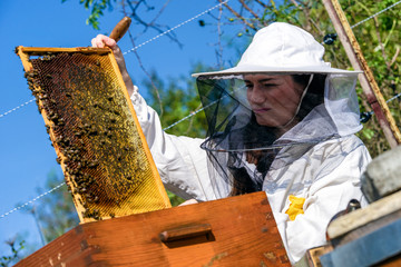 Honeycomb and beekeeper