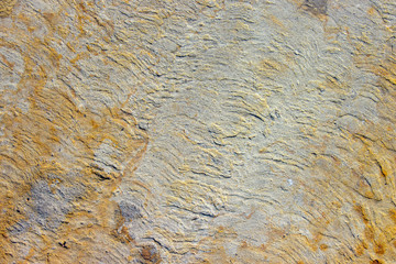 Stone background texture background natural stone close-up