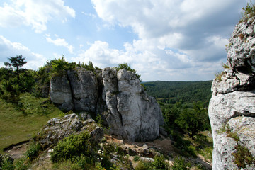 Wyżyna Krakowsko-Częstochowska, Jura Krakowsko-Częstochowska – makroregion geograficzny położony w południowej Polsce