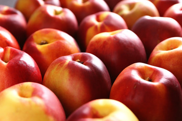 Many fresh peaches, closeup