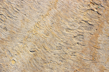 Stone background texture background natural stone close-up