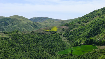 Obraz premium A Sketch of Hills