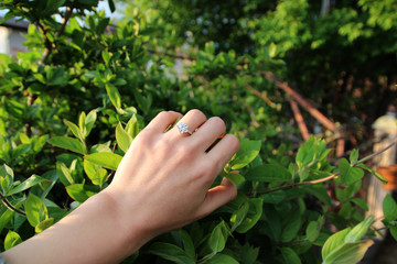 Close-up of a woman's hand with many beautiful rings