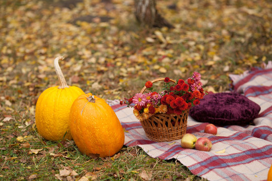 Fotozone Images – Browse 39 Stock Photos, Vectors, and Video | Adobe Stock