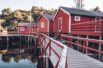 traditional fishing houses in red color in norway