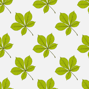 Seamless vector pattern with autumn leaves. Chestnut leaf.
