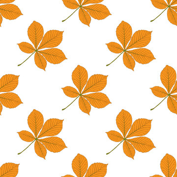 Seamless vector pattern with autumn leaves. Chestnut leaf.