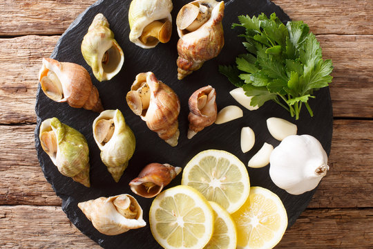 Fresh raw shellfish whelk, sea snails bulot close-up and lemon, parsley, garlic for sauce on a slate board. Horizontal top view from above