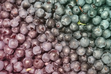 Background of blueberries from the forest.