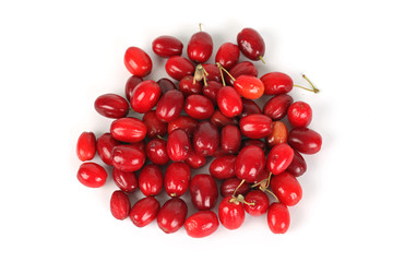 Kirschen von der Herlitze