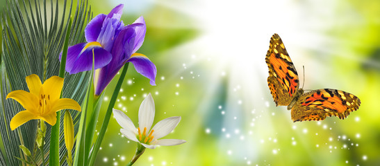 isolated image of bouquet of beautiful flowers closeup