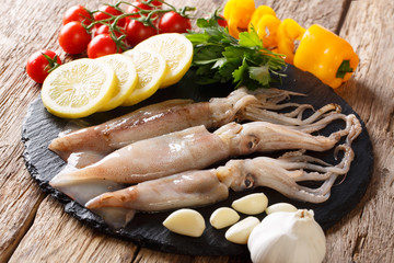 Raw seafood for cooking squid close-up and ingredients on a slate board. horizontal