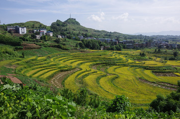 Terraced Fields and Villages at the Feet of the Mountains