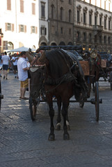 Naklejka na ściany i meble FLORENCE, ITALY - AUGUST 16, 2018: horse coach in piazza Duomo