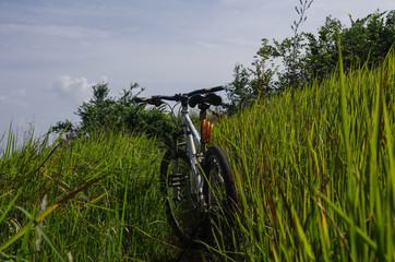 Obraz premium Bicycle Parked in the Field