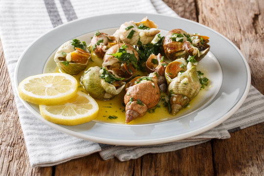 French shellfish bulot whelks served with a sauce of butter, garlic and parsley, lemon close-up. horizontal