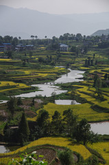 Villages and Surrounding Fields
