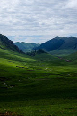Obraz premium Hills are Covered with Lush and Green Grass