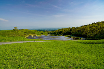産山村　扇棚田