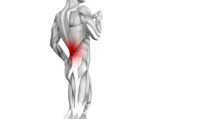 Conceptual back human anatomy with red hot spot inflammation articular joint pain or spine health care therapy or sport muscle concepts. 3D illustration man arthritis or bone sore osteoporosis disease