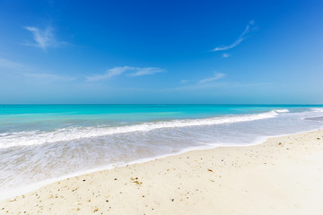Fototapeta na wymiar Wide tropical sandy beach in front of ocean