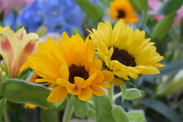 Flowers such as sunflower