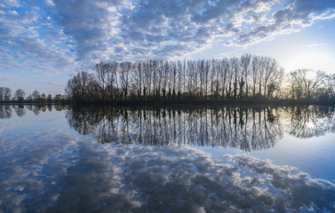 Ellerton Park  Lake Reflections