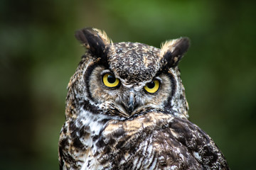 Jasper National Park