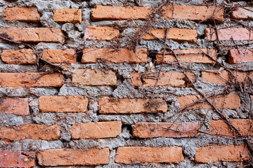 old red brick wall texture background grunge wallpaper