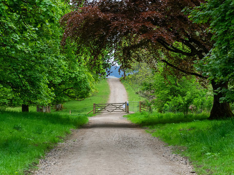 The gated road